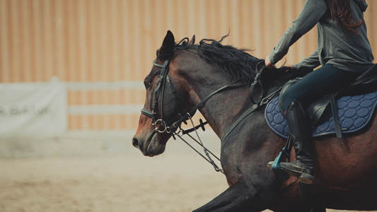 Discover the Future of Pain Relief with Laser Stride Equine Therapy