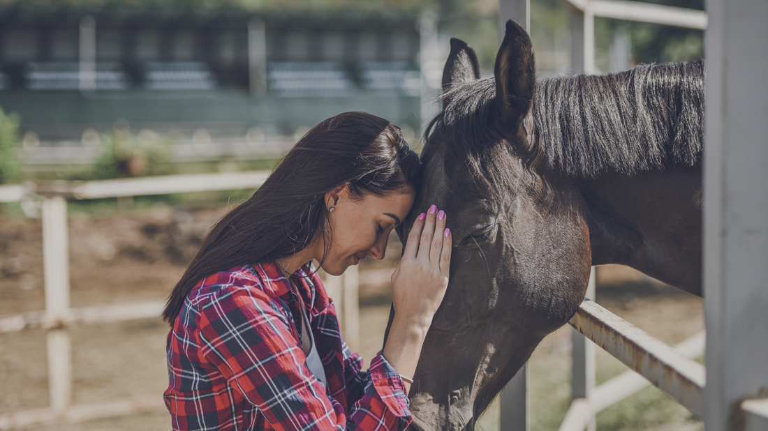 How Inflammation Affects Your Horse's Performance
