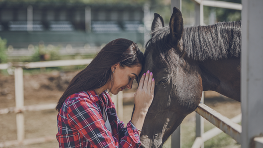 How Inflammation Affects Your Horse's Performance